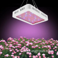 600W Grow Light Red Blue Lighting